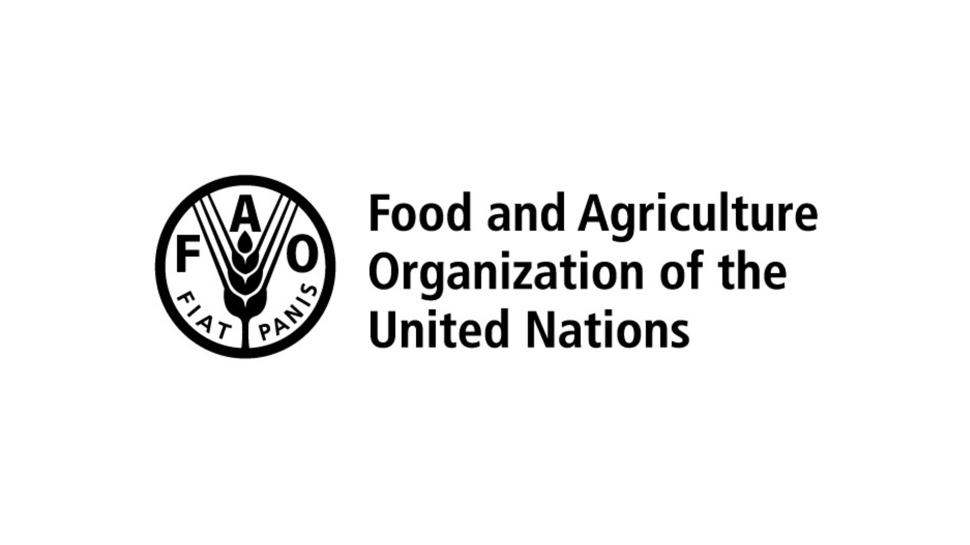 Food and Agriculture Organization of the United Nations